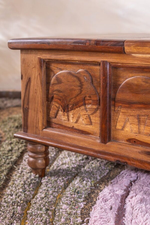 Hathi Storage Coffee Table - Image 3