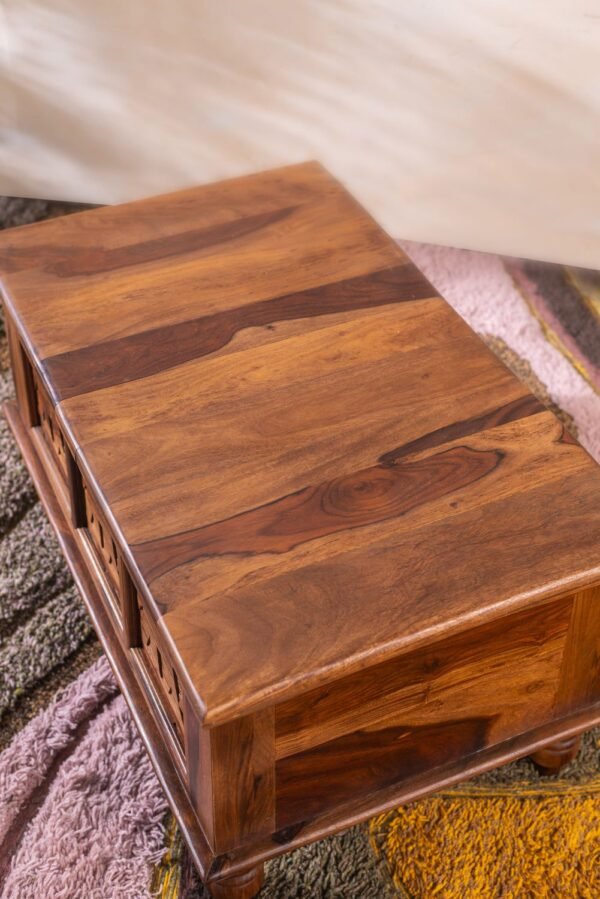 Hathi Storage Coffee Table - Image 6