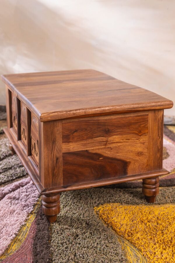 Hathi Storage Coffee Table - Image 4